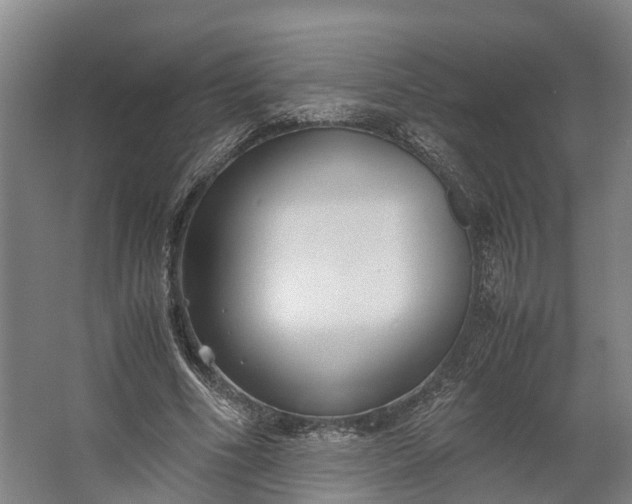 X0000062620586200601041007