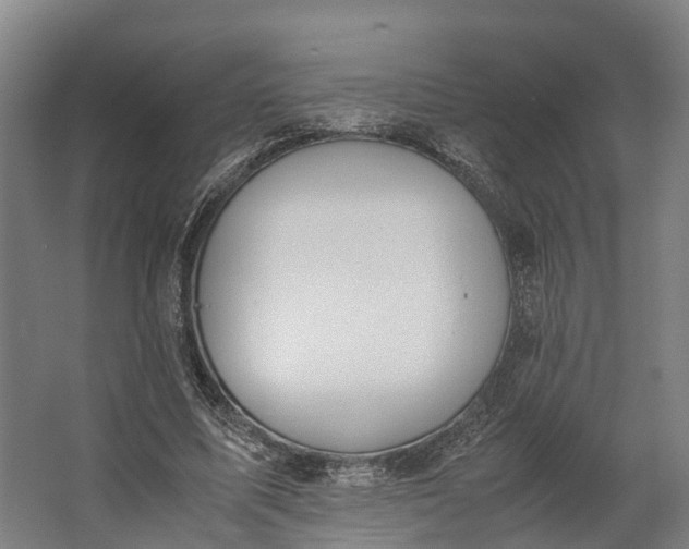 X0000062620587200601041007