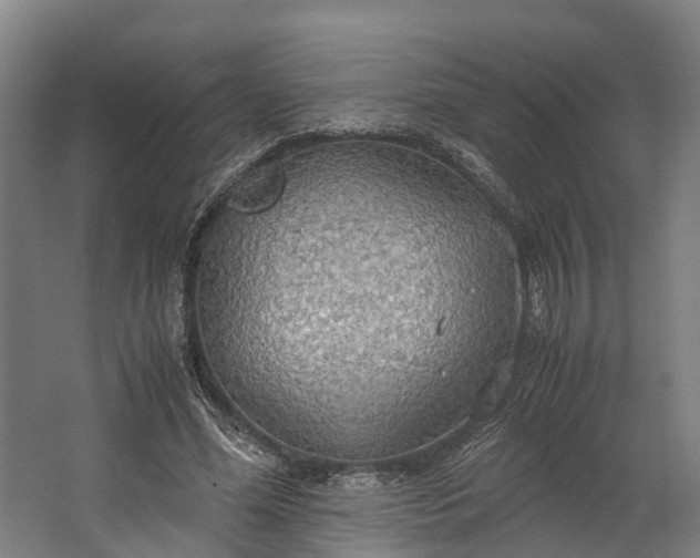 X0000062620588200601041007