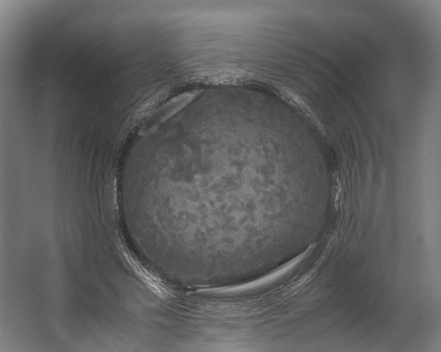 X0000062620589200601041007