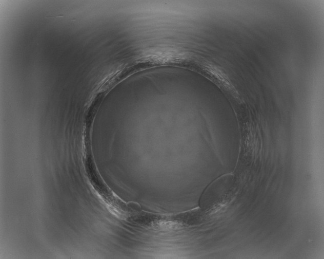 X0000062620590200601041007