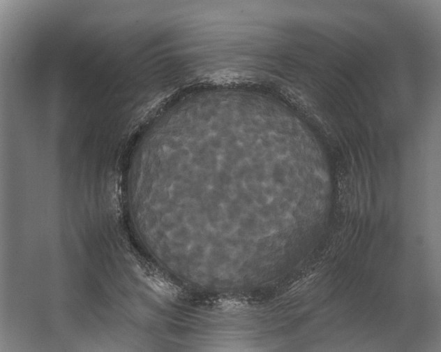 X0000062620592200601041007