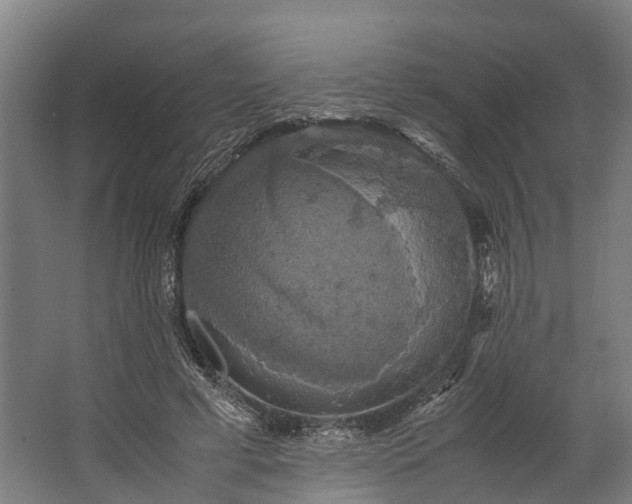 X0000062620593200601041007