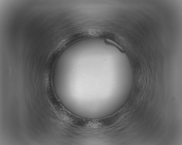 X0000062620595200601041007