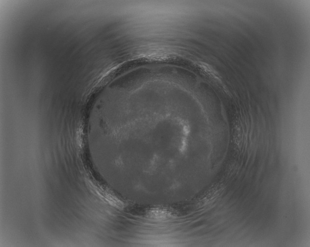 X0000062620596200601041007