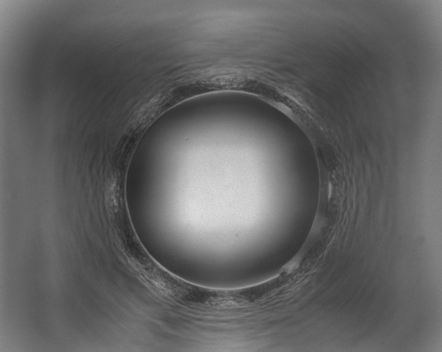 X0000062620597200601041007