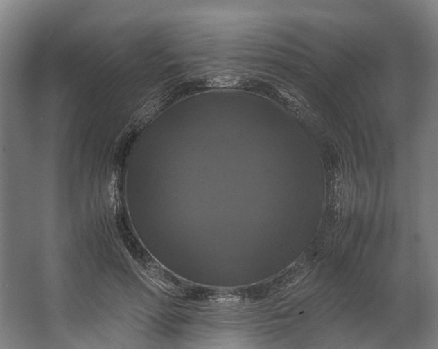 X0000062620598200601041007