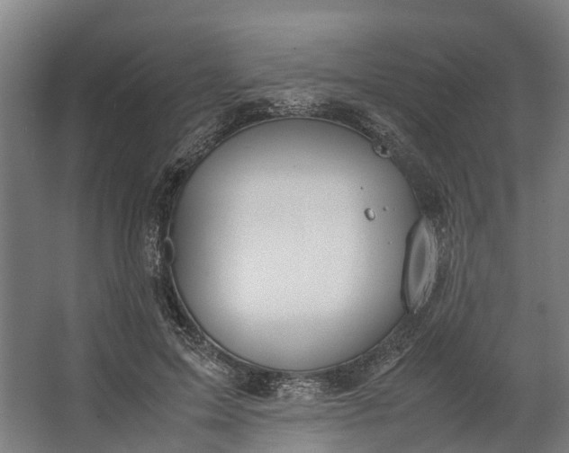 X0000062620599200601041007