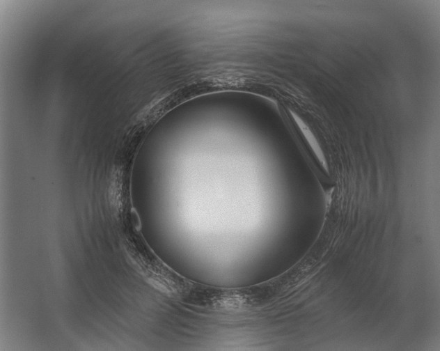 X0000062620600200601041007