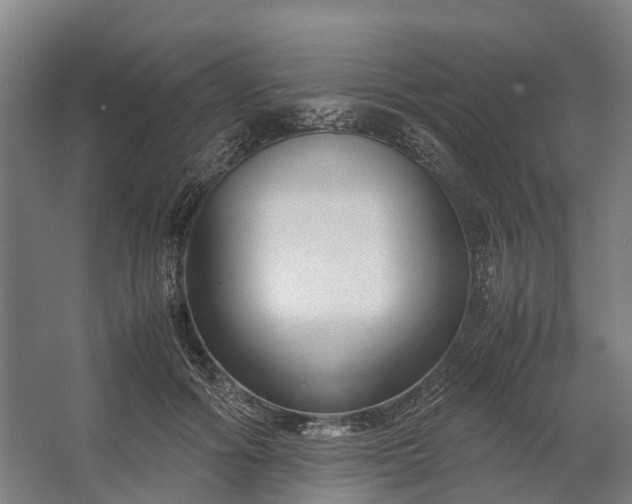 X0000062620602200601041007