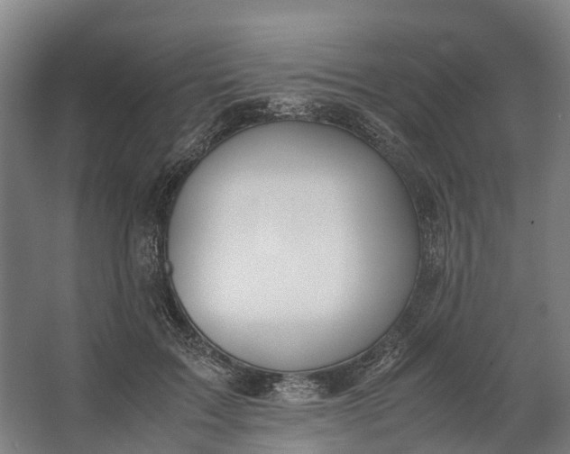 X0000062620603200601041007