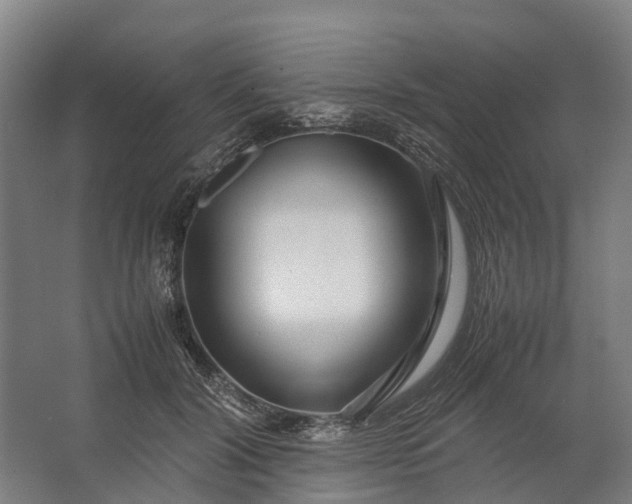 X0000062620604200601041007