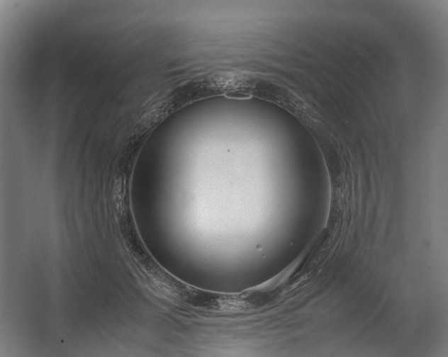 X0000062620605200601041007