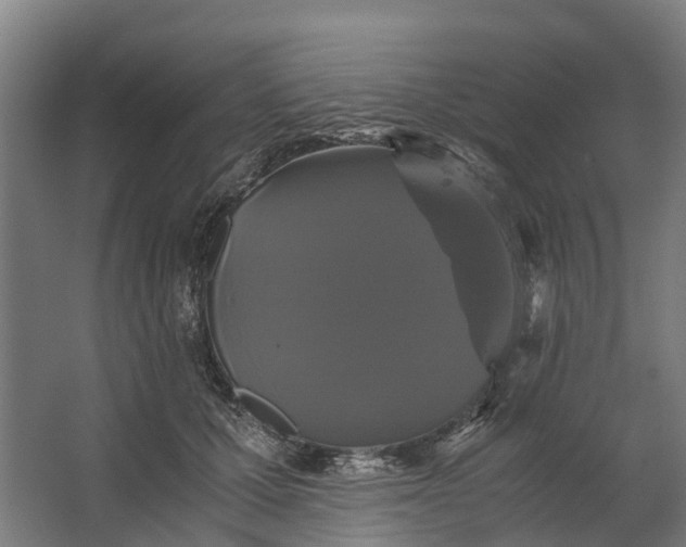 X0000062620607200601041007