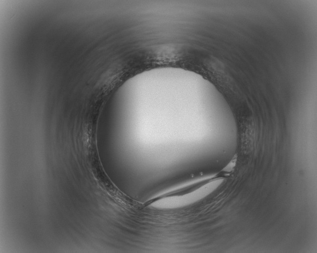 X0000062620608200601041007