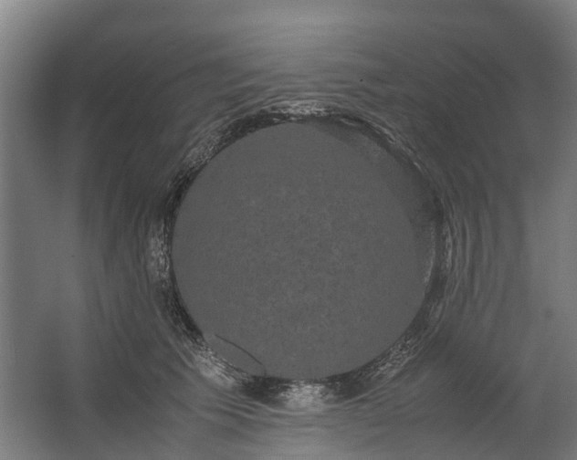 X0000062620609200601041007