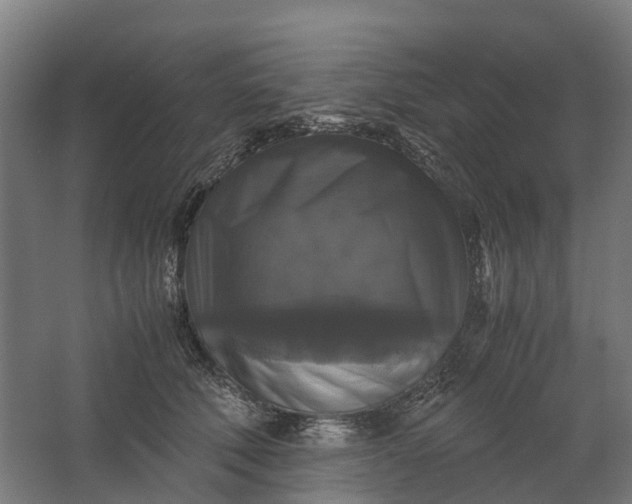 X0000062620610200601041007