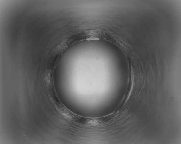 X0000062620611200601041007