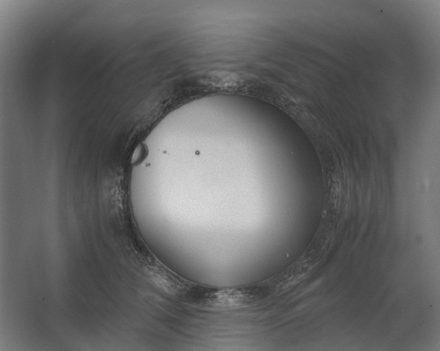 X0000062620612200601041007