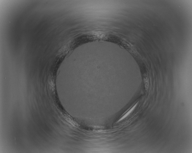 X0000062620613200601041007