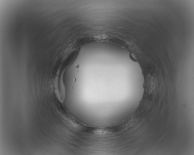 X0000062620614200601041007