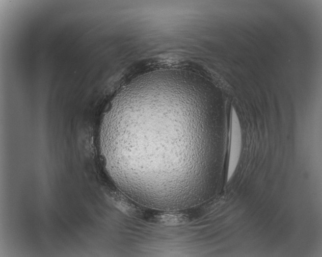 X0000062620615200601041007