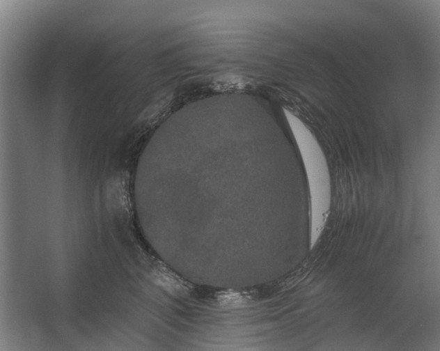 X0000062620616200601041007