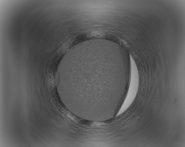 X0000062620617200601041007