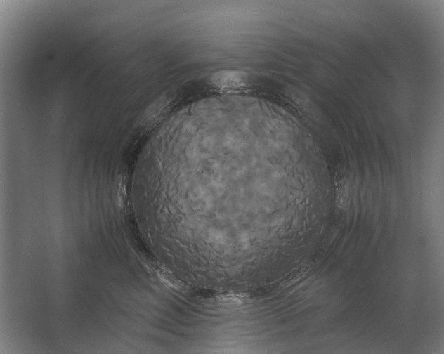 X0000062620618200601041007