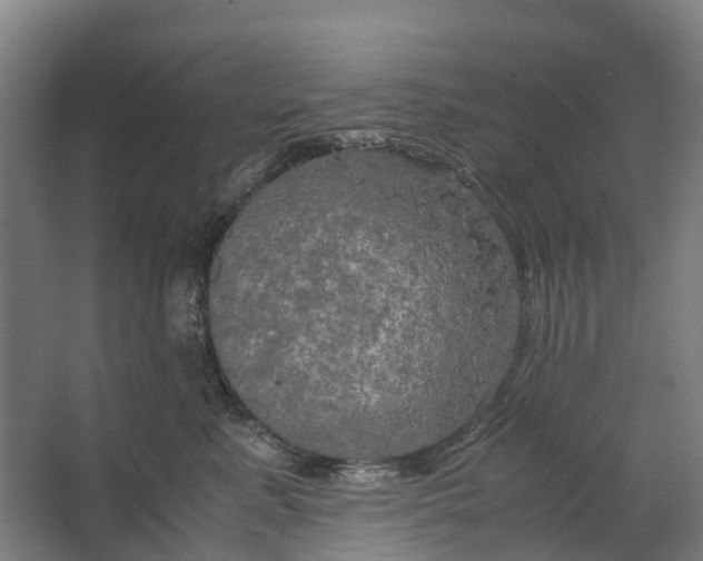 X0000062620619200601041007