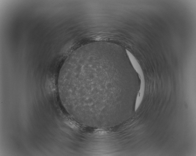 X0000062620620200601041007