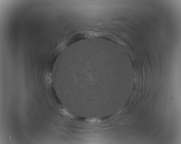 X0000062620621200601041007