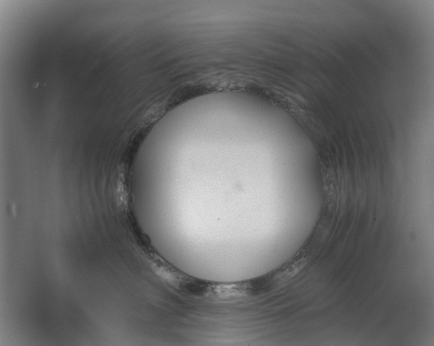 X0000062620622200601041007