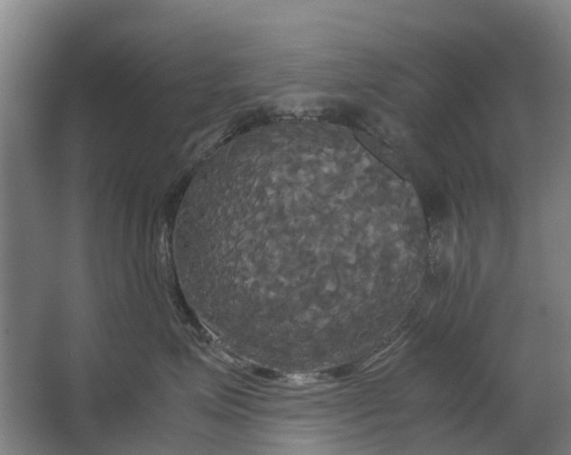 X0000062620623200601041007