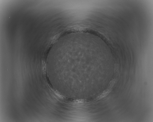 X0000062620624200601041007