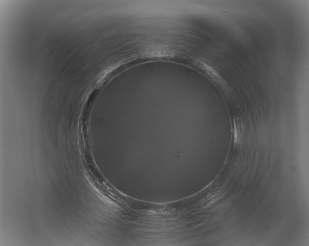 X0000062620627200601041006