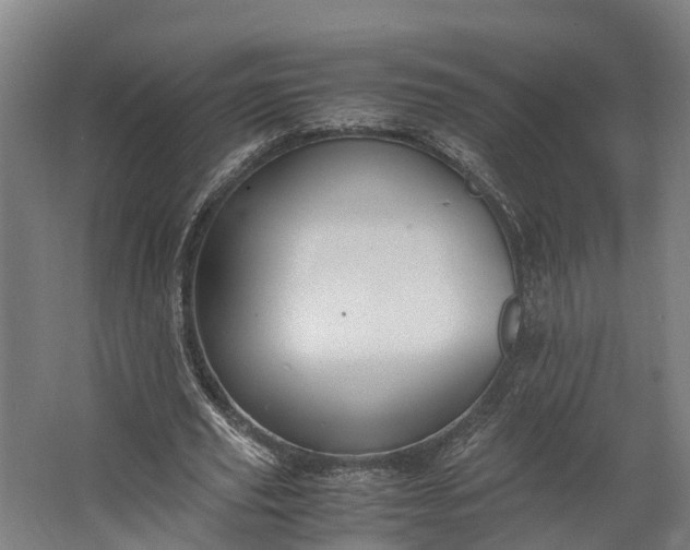 X0000062620629200601041006