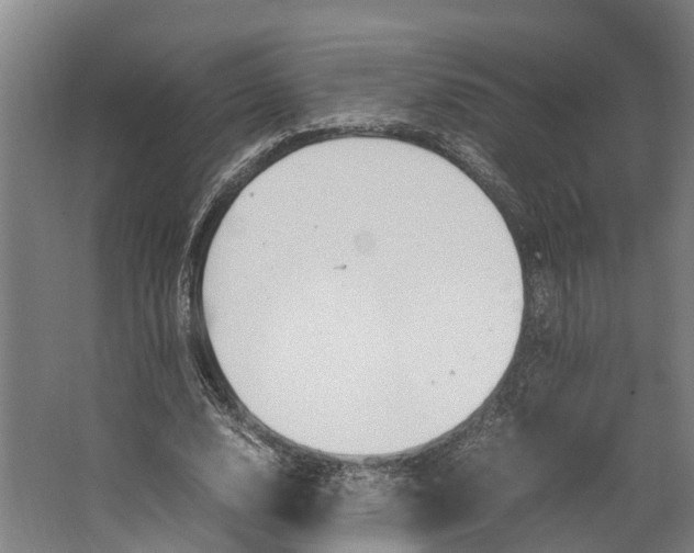 X0000062620632200601041006