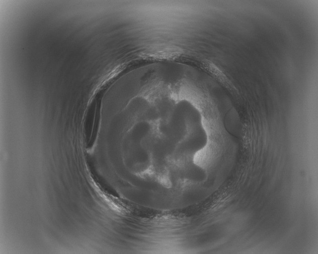 X0000062620634200601041006