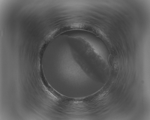 X0000062620637200601041006