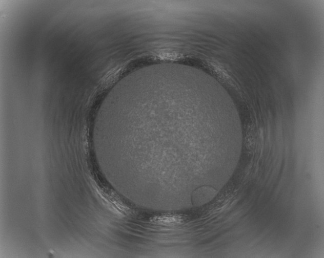 X0000062620639200601041006