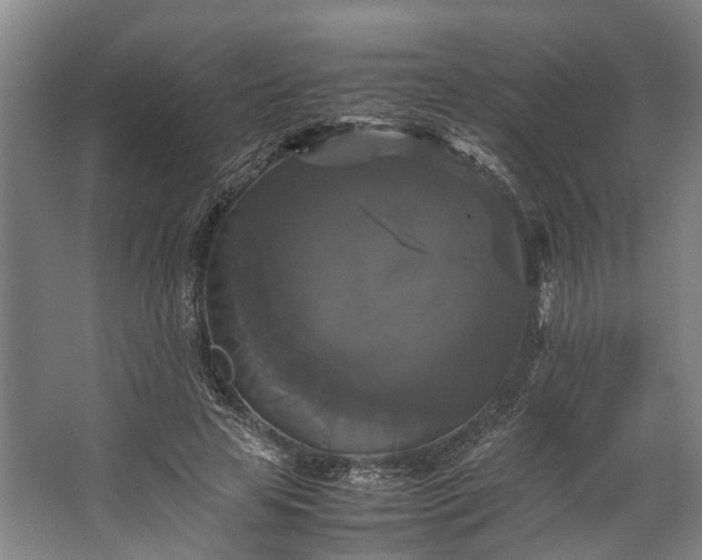 X0000062620641200601041006