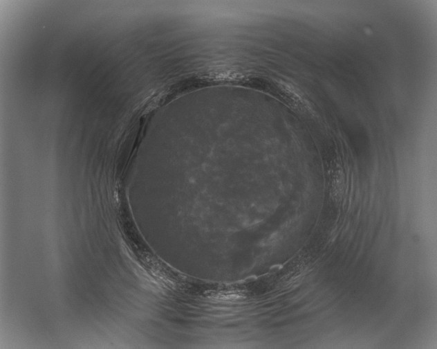 X0000062620643200601041006