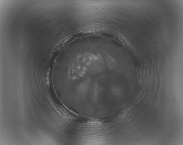 X0000062620644200601041006