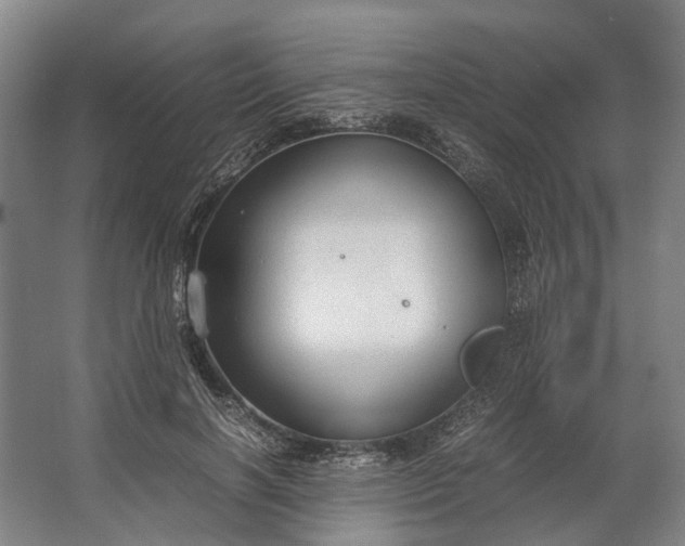 X0000062620646200601041006