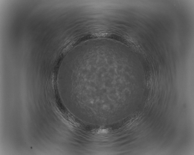 X0000062620647200601041006