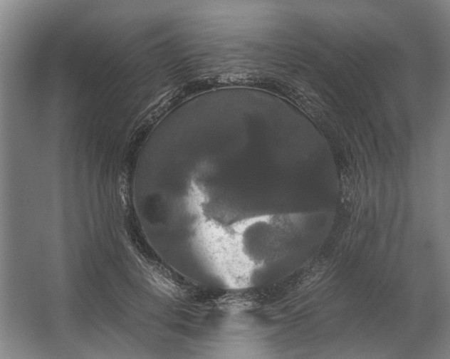 X0000062620648200601041006