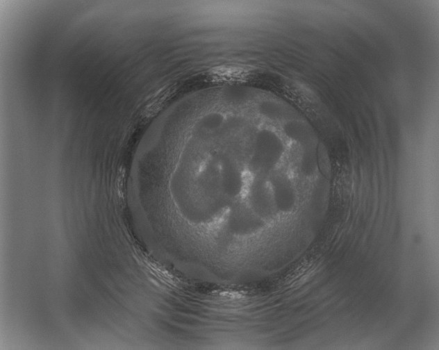 X0000062620649200601041006