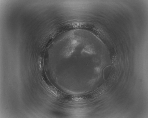 X0000062620650200601041006