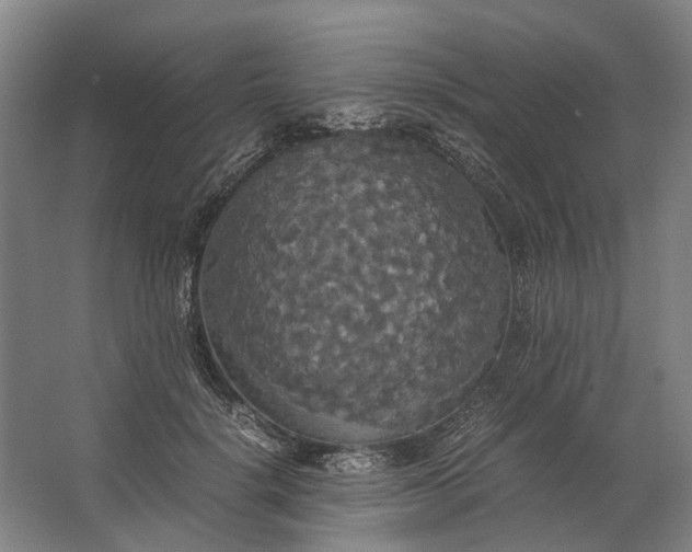 X0000062620652200601041006